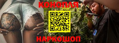 мдма Камышлов