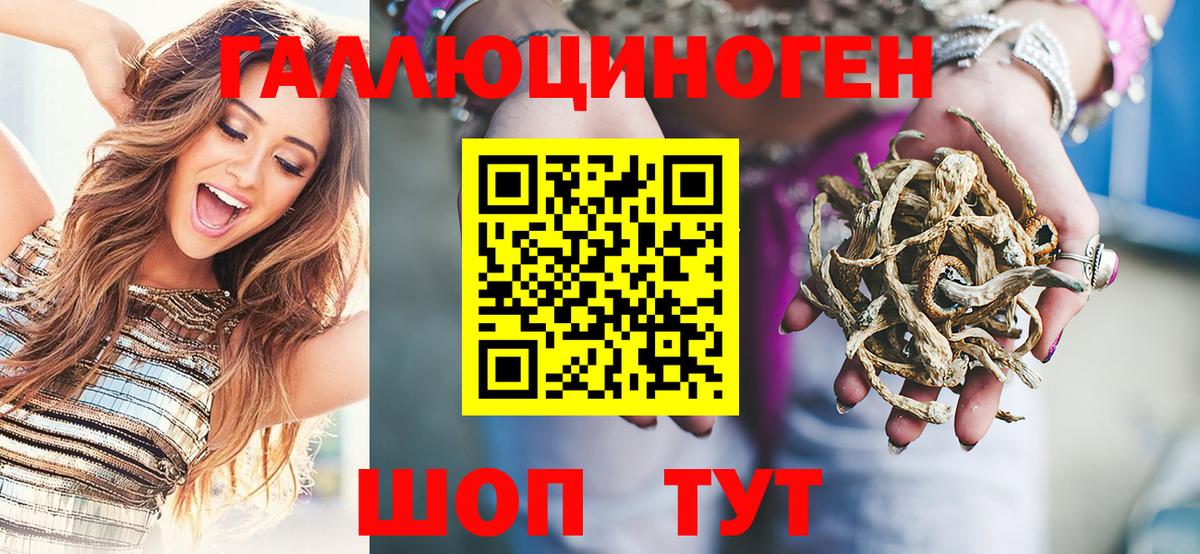 Псилоцибиновые грибы Cubensis Междуреченск