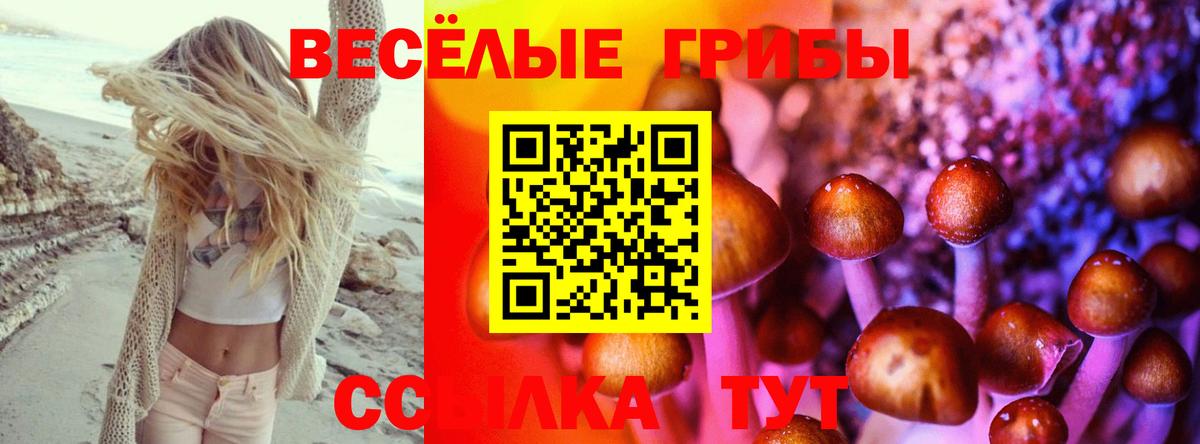 Междуреченск  Галлюциногенные грибы GOLDEN TEACHER  Вход с VPN 